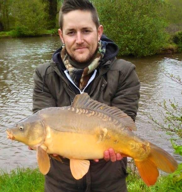Mirror carp
